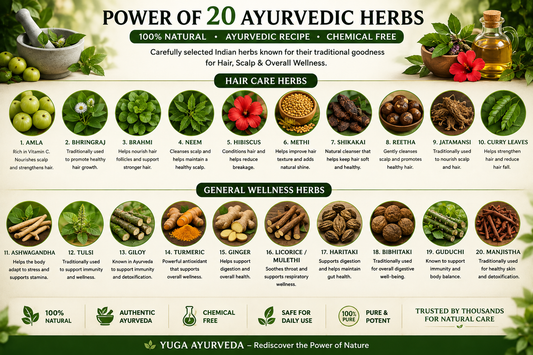 🌿 The Power of Ayurvedic Herbs: Ancient Indian Wisdom for Modern Hair &amp; Wellness